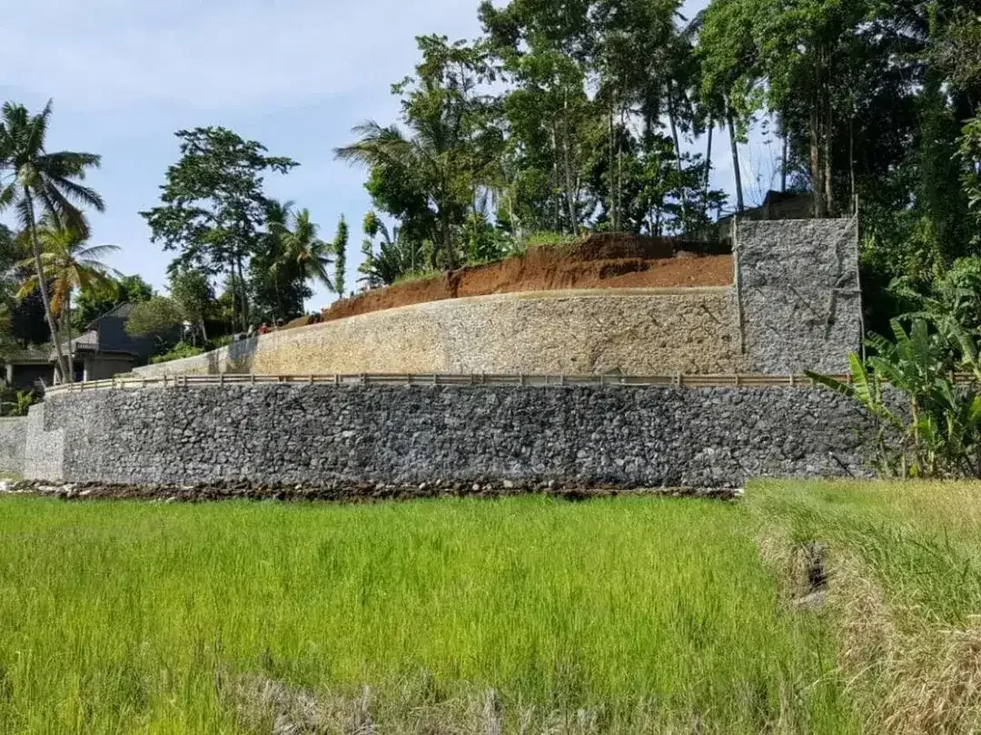 Tanah 2.549 m² Dijual di Tampaksiring, Tegallalang, Gianyar - Image 2 of 10