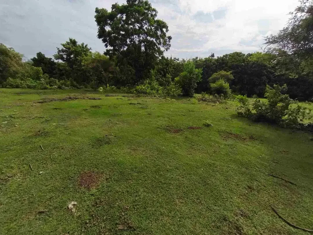 dijual tanah 1430m² IDR 750 juta per are kawasan pantai balangan jimbaran - Image 6 of 10
