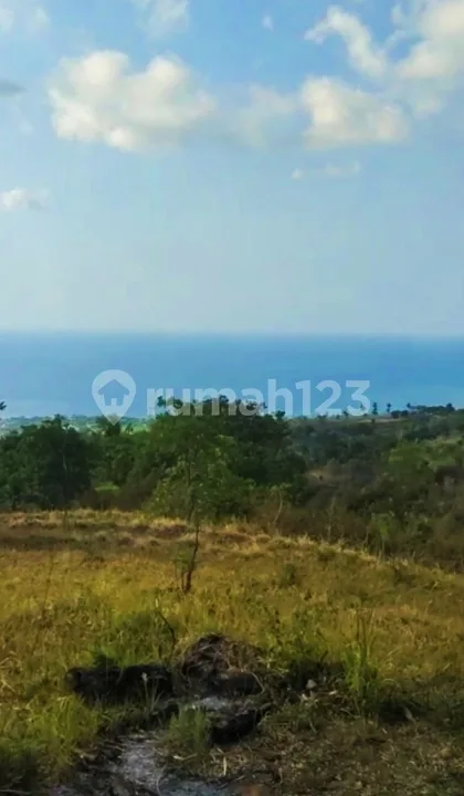 1,37 Hektar Tanah View Laut Shm Cempaga Banjar Buleleng Bali - Image 1 of 4