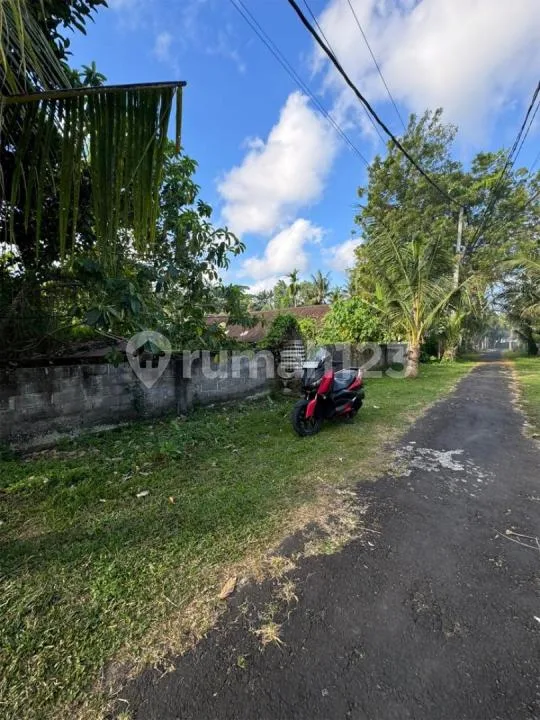 Dijual Tanah - Kemenuh, Selatan Ubud Akses Jalan Mobil dan Truk - Image 3 of 4