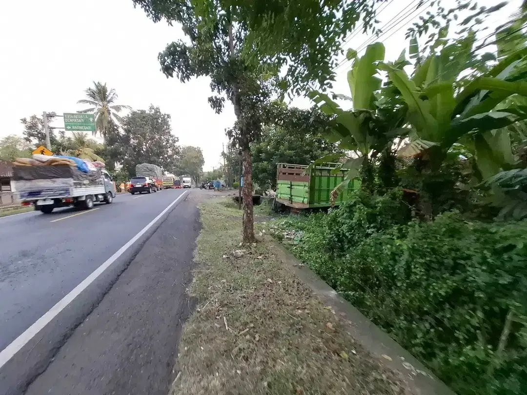 Dijual tanah kebun kelapa view sawah akses jalan propinsi di bali - Image 2 of 10