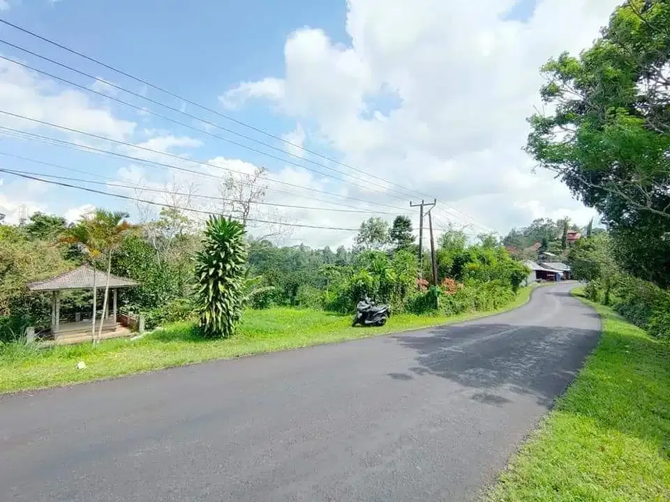 Dijual Tanah Di Jalan Utama Pupuan - Image 1 of 4