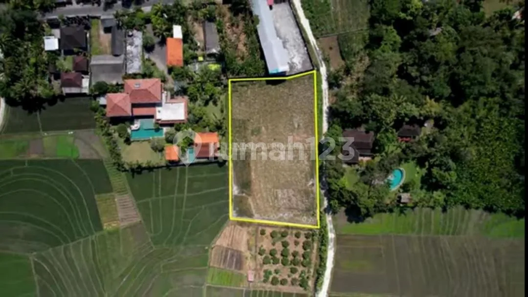 Di Jual Tanah Murah Dekat Pantai Pasut Tabanan Sangat Cocok untuk Komplex Villa - Image 2 of 4