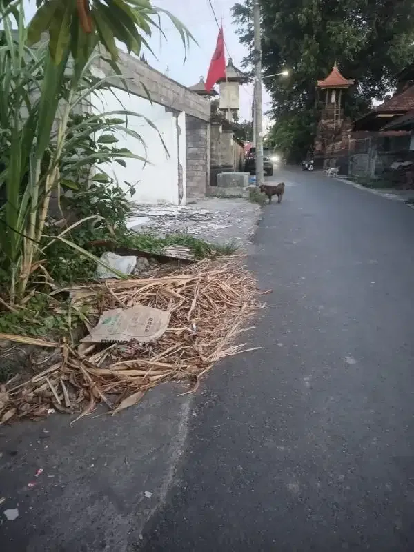tanah kontrak termurah di pinggir jalan umalas - Image 10 of 10