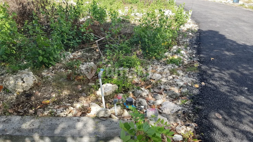 Proyek 11 Klumpu Investment Land - Image 3 of 4