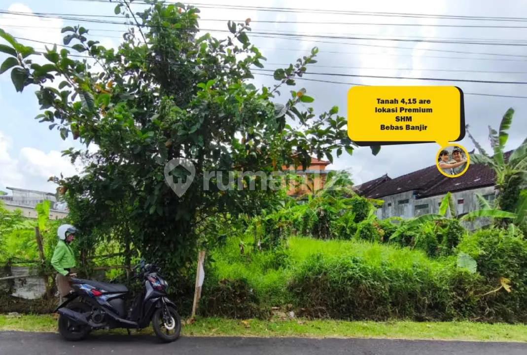 Tanah 4,15 Are Dijual di Tabanan - Lokasi Premium Dekat Jalan Raya, Rs, Sekolah, 30 Menit ke Canggu & Pantai - Image 1 of 4