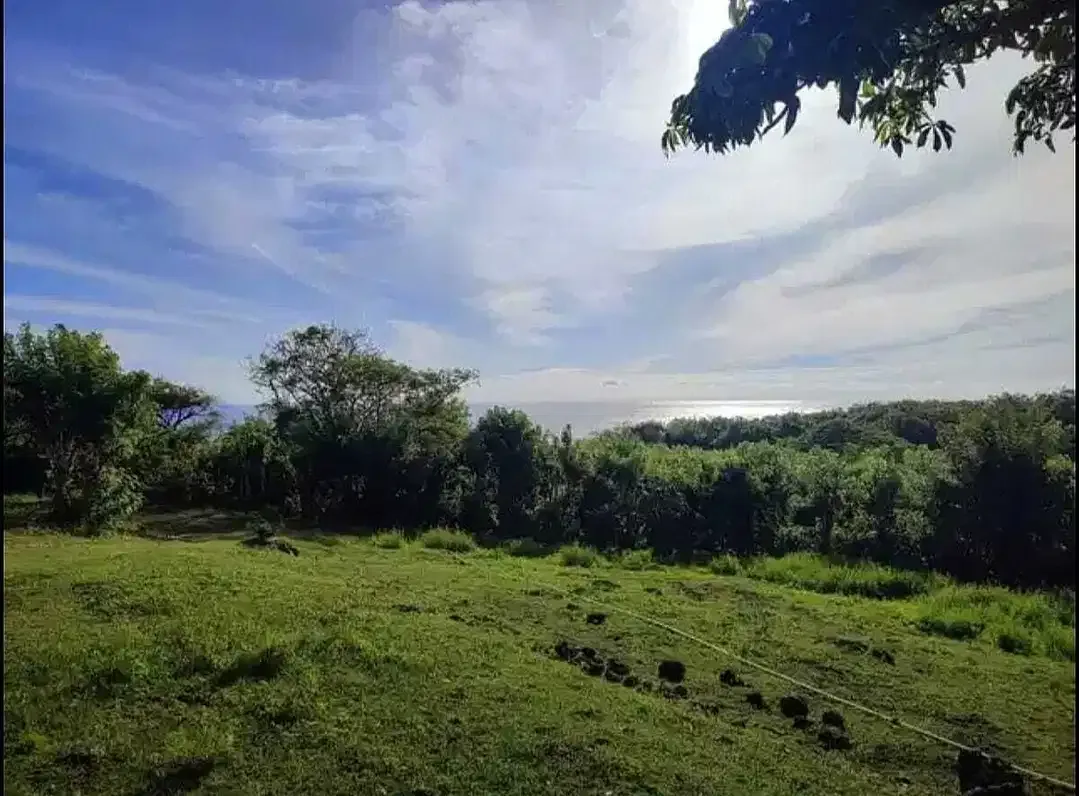Tanah Ocean View Pecatu Uluwatu - Image 6 of 9