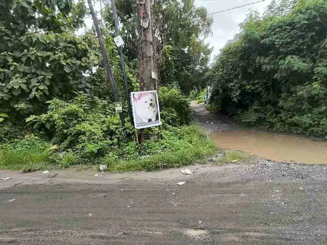 dijual tanah 8 are kawasan villa airis Ungasan Kuta Selatan Badung Bali - Image 8 of 10