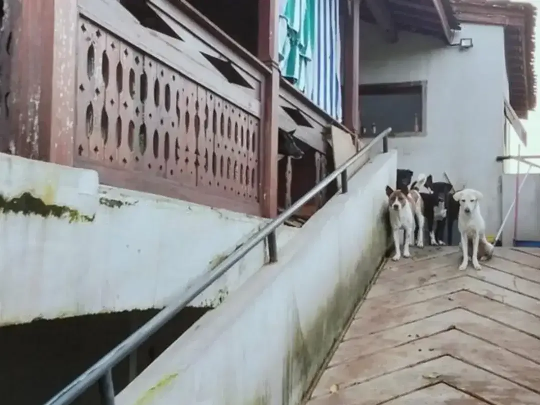 LEASEHOLD RUMAH 2 LANTAI DI PURI GADING JIMBARAN BADUNG - Image 3 of 9