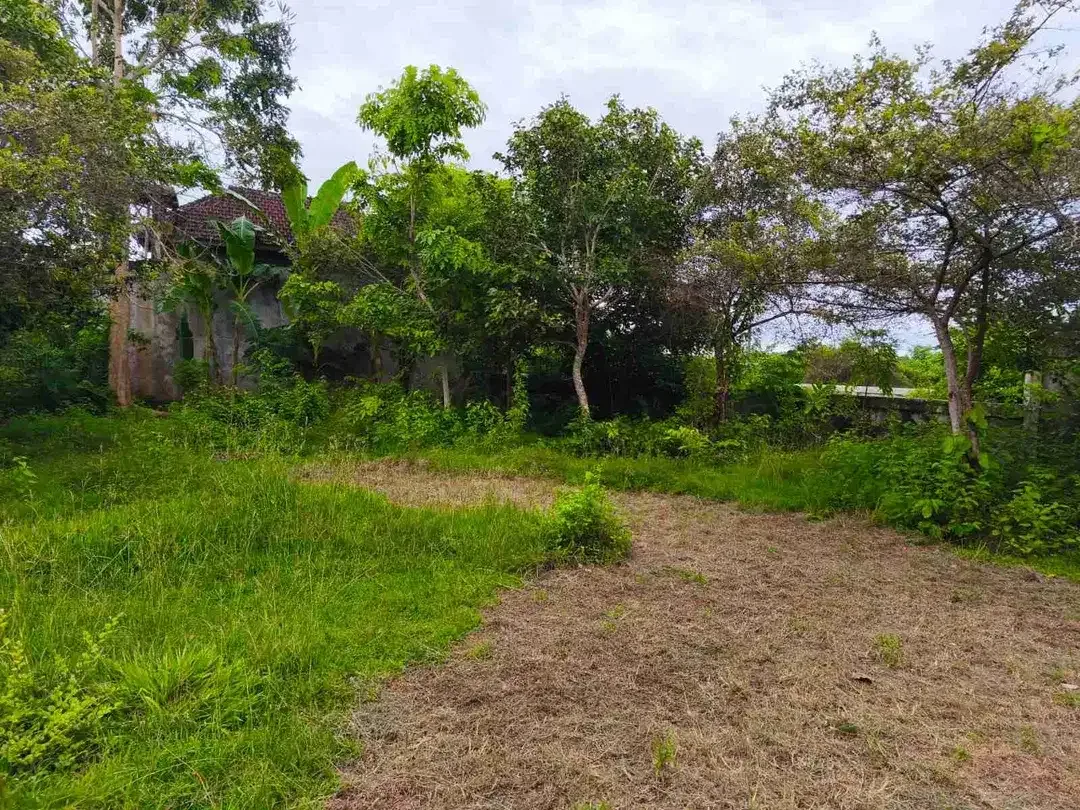 Tanah 2000m2 Lokasi Premium 6 Menit ke Pantai Gunung Payung Bali - Image 6 of 10