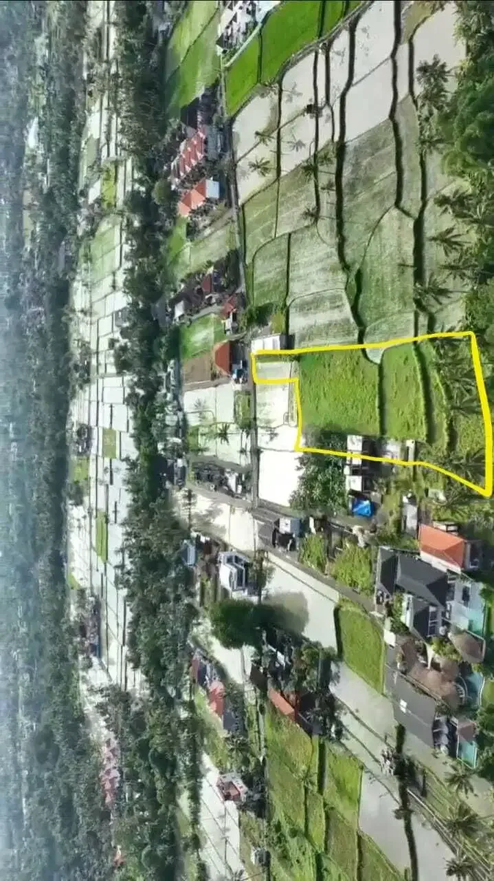 Tanah Siap Bangun View Sawah di Pejeng Ubud - Image 9 of 10
