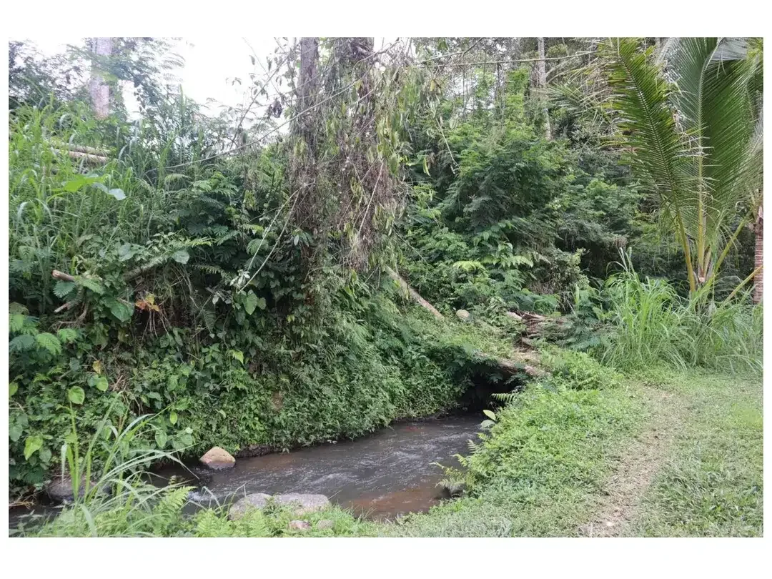 Dijual Tanah Strategis di Desa Apuan, Kecamatan Baturiti, Tabanan - Image 8 of 10