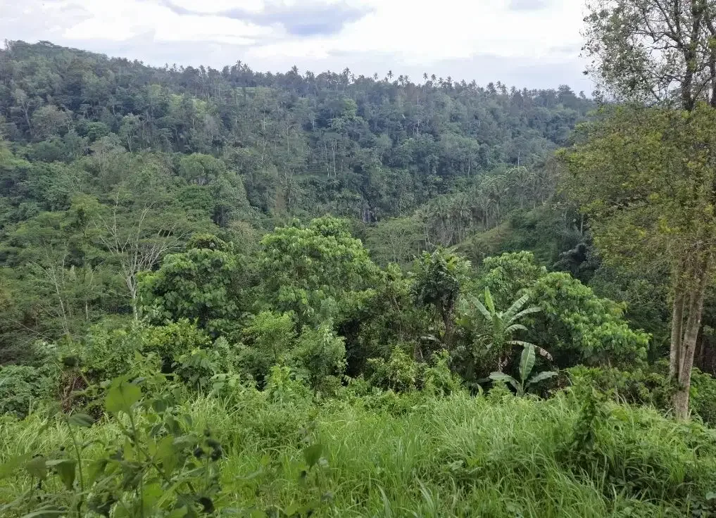 Dijual tanah los sungai besar dan view air terjun, gunung dan sawah - Image 10 of 10