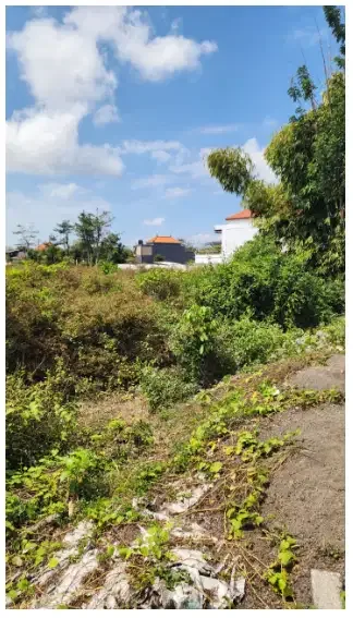 Tanah 31 Are di Kutuh - Image 4 of 6