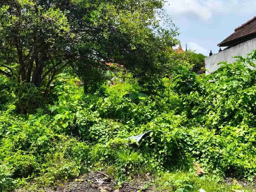 dijual tanah 3,92 are IDR 475 juta per are Kawasan Kampial residence nusa dua Kuta Selatan Badung Bali - Image 5 of 5