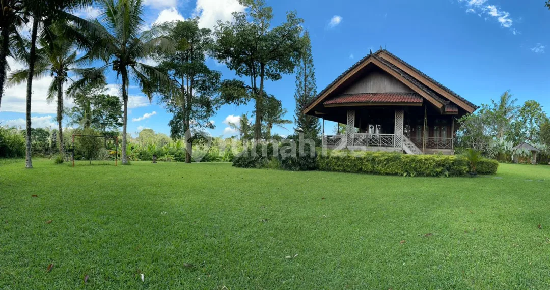 Dijual Tanah + Rumah Kayu Antik Premium Kenderan Ubud View Cantik - Image 3 of 4
