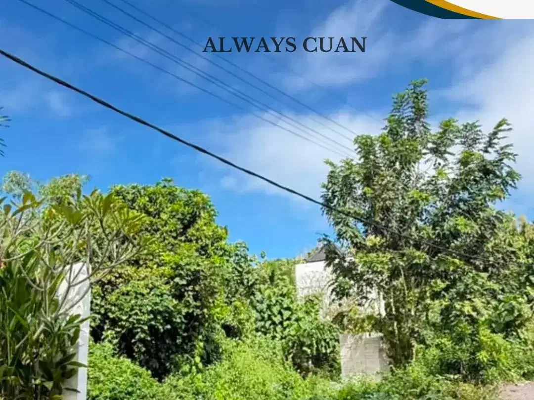 DIJUAL TANAH DI LINGKUNGAN VILLA – UNGASAN, BALI - Image 1 of 10