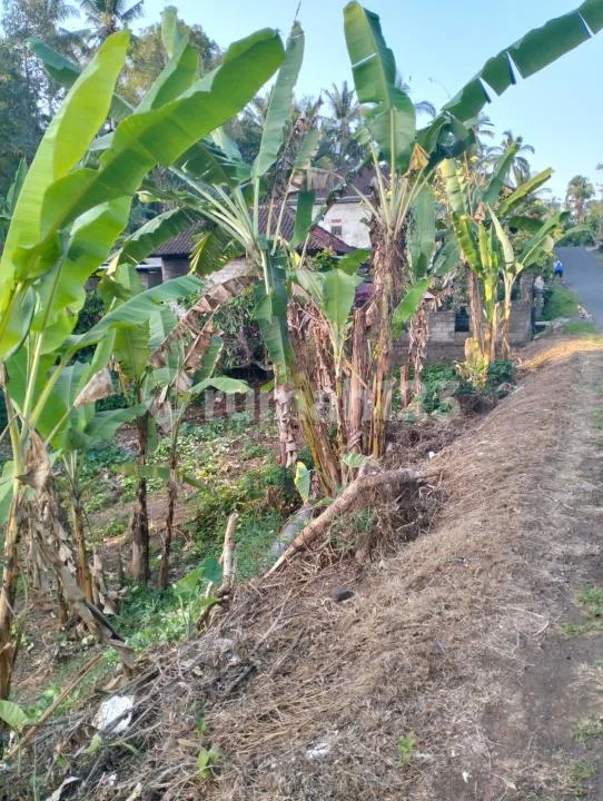 Tanah , SHM, di Selemadeg - Image 1 of 4
