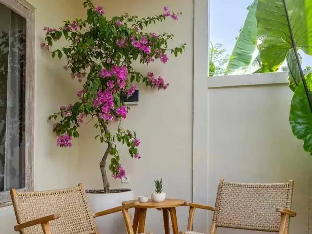 For lease New Guest House High Occupancy at Kayu Tulang- Canggu - Image 9 of 10