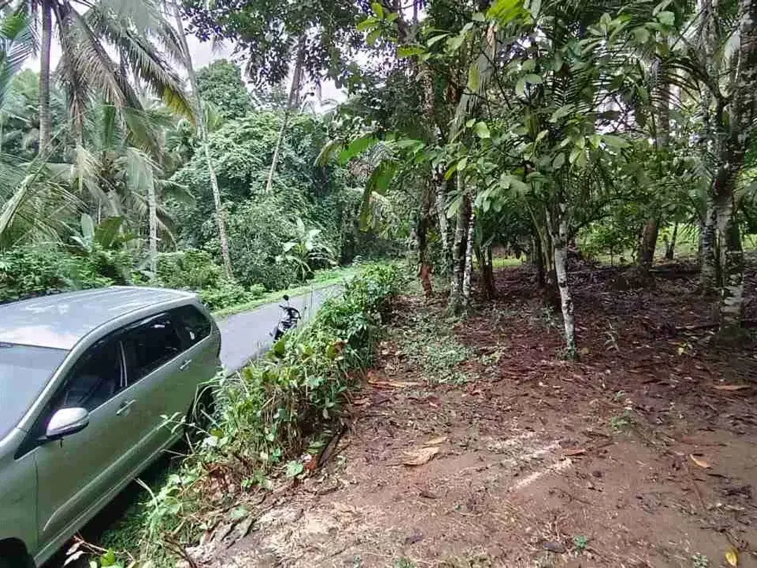 jual tanah kebun di tabanan bali - Image 4 of 10