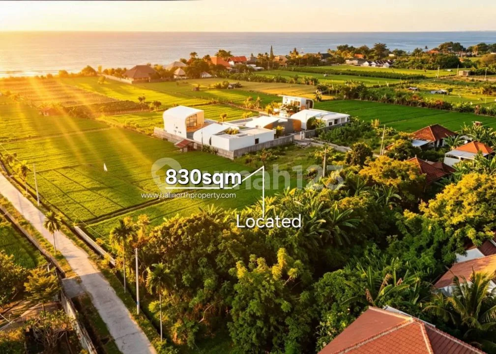 Exclusive Land For Sale In Lovina Area North Bali - Image 4 of 4