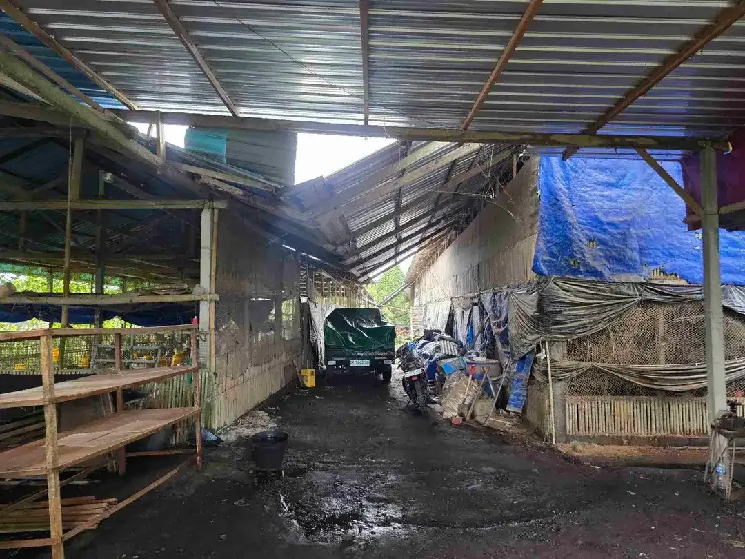 Dijual tanah view exotik sawah dan gunung di tabanan bali - Image 10 of 10