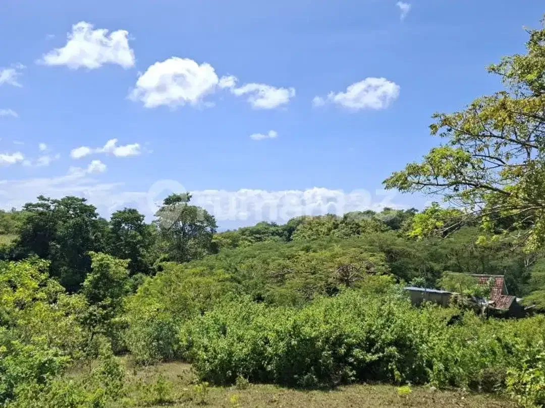 Land For Lease For A Villa Complex On Jl. Melang Kaja, Kutuh - Image 2 of 5