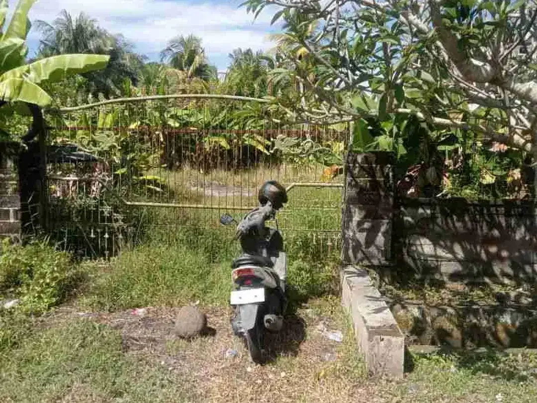 TANAH MURAH JALAN DENPASAR GILIMANUK YEH EMBANG NEGARA COCOK UNTUK USAHA DLL - Image 7 of 7