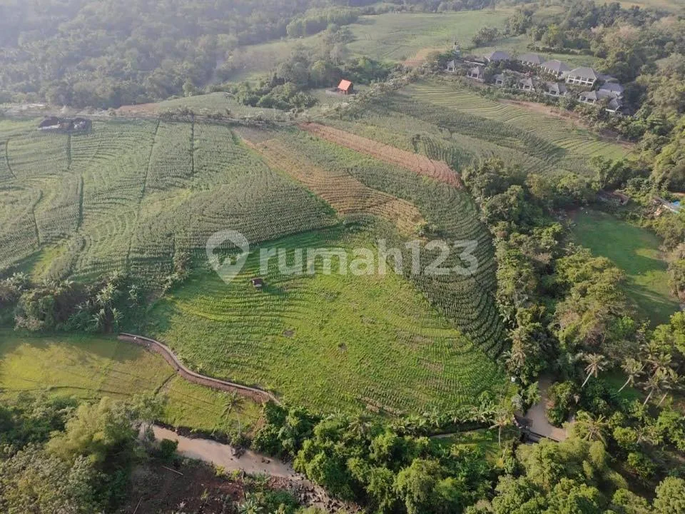 Tanah Kawasan Pariwisata Soka, Luas Strategis Dkt Pantai, Tabanan - Image 3 of 4