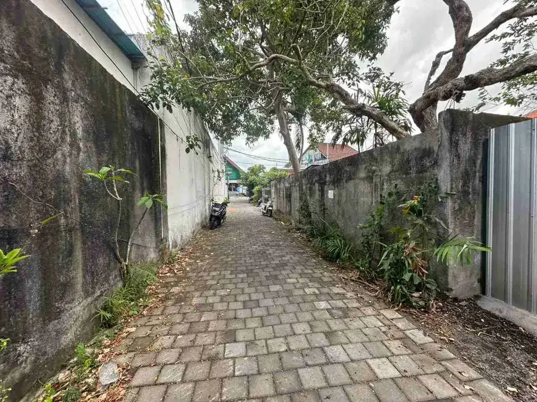 DIJUAL / FREEHOLD : Tanah Kecil 2,9 Are Jl. Munduk Catu, Pantai Batu Bolong Echo Beach Canggu, Bali - Image 4 of 10