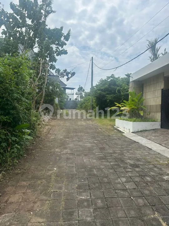 Tanah Murah Dekat Universitas Udayana Jimbaran Bali - Image 3 of 4