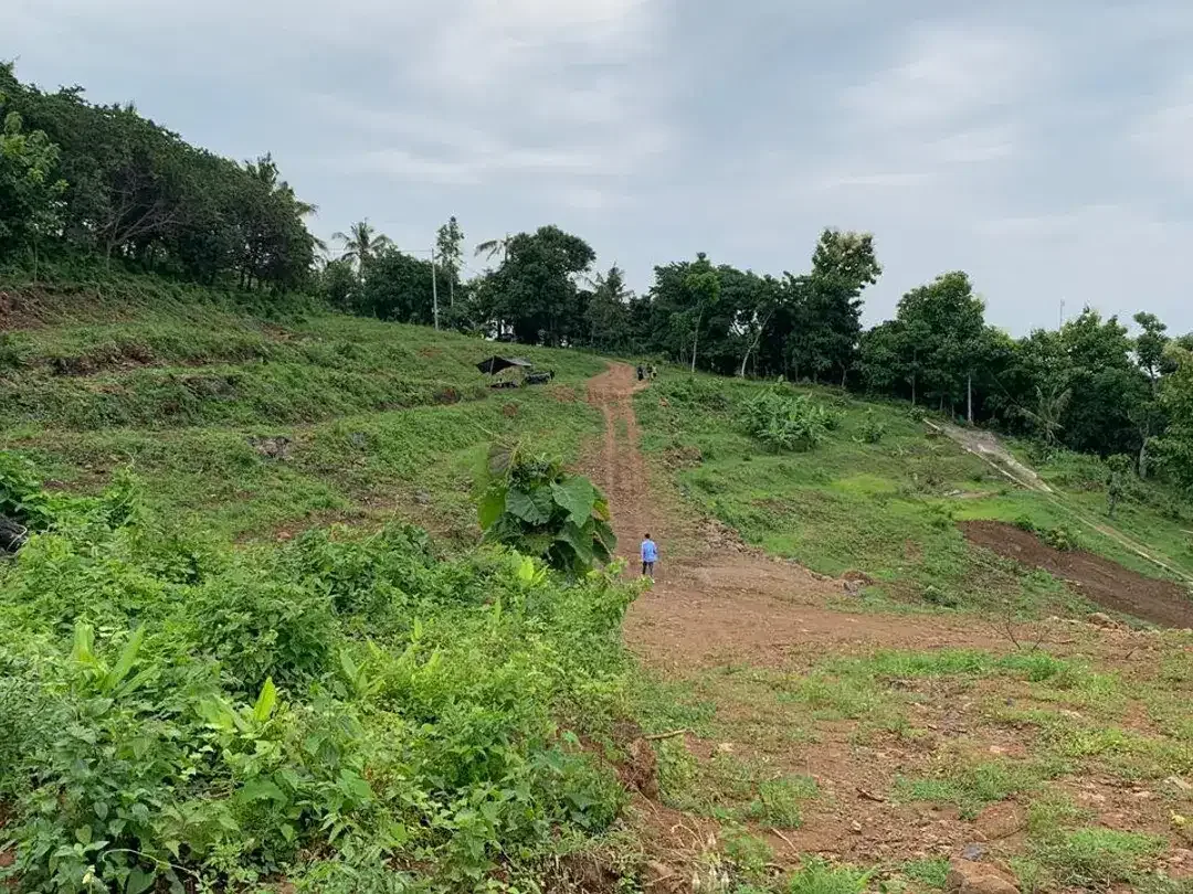 LAND FOR SALE ON A HILLTOP WITH OCEAN VIEW Lovina, Bali - Image 3 of 7
