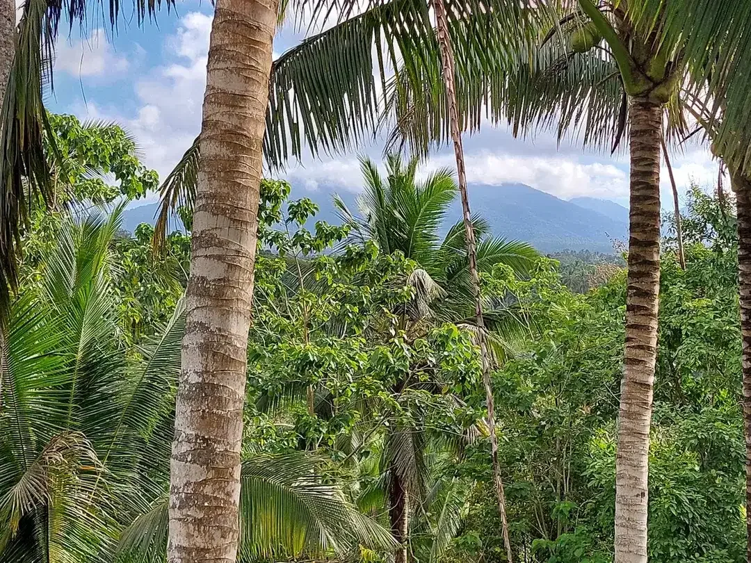 5.850 Sqm of Freehold Land for Sale with Beautiful Mountain View - Image 10 of 10