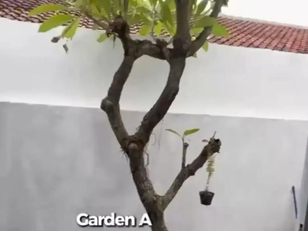 Rumah Cantik Semi Furnished 3 Bedroom Kerobokan Badung Bali - Image 7 of 10