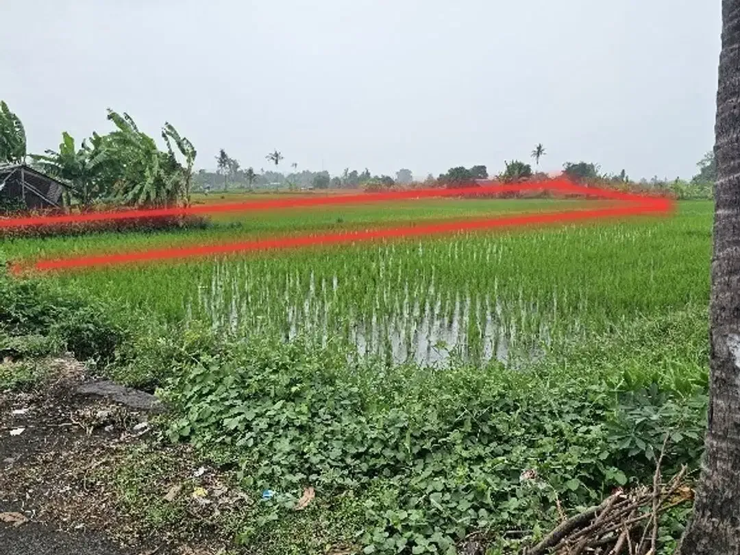 Land for sale beach front at north Bali - Image 10 of 10