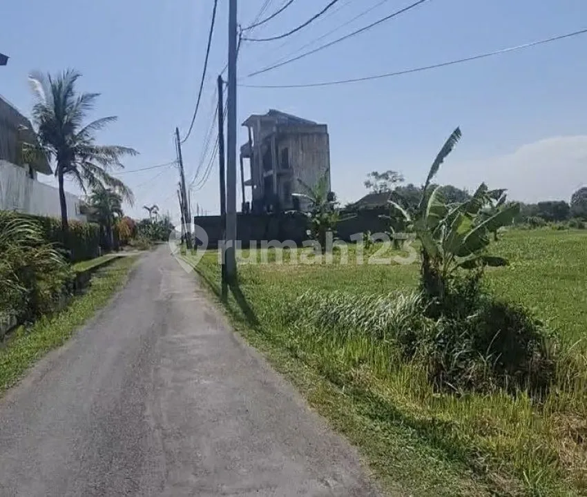 Tanah 3080m2 di Cemagi , View Sawah Dan Laut , Lingkungan Villa - Image 2 of 4