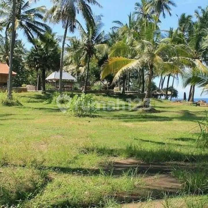 Tanah Seraya Karangasem - Image 4 of 4