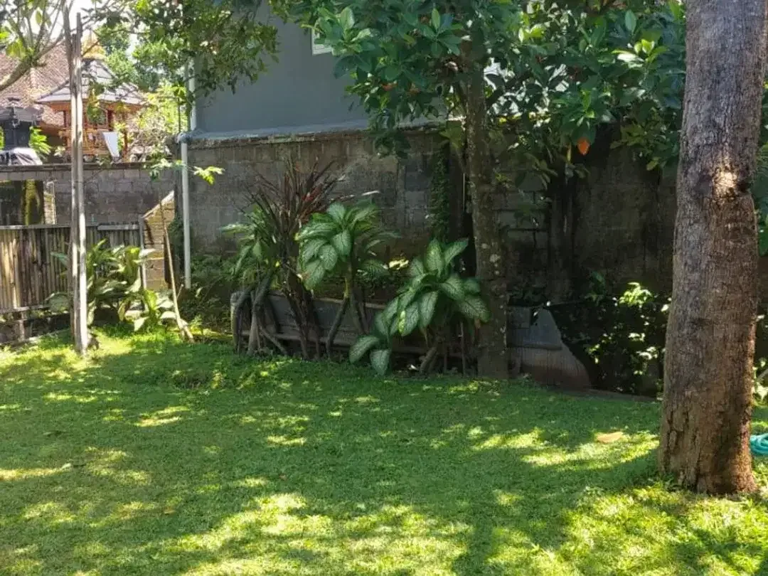 ID:H-98 Disewakan Rumah Semi Villa Abianbase Mengwi Bali Dekat Canggu Tabanan Tanah Lot Denpasar - Image 2 of 7