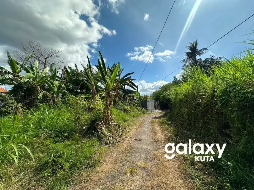 DIJUAL TANAH VIEW SAWAH DEKAT PANTAI KERAMAS DI AURA PERING GIANYAR - Image 4 of 6
