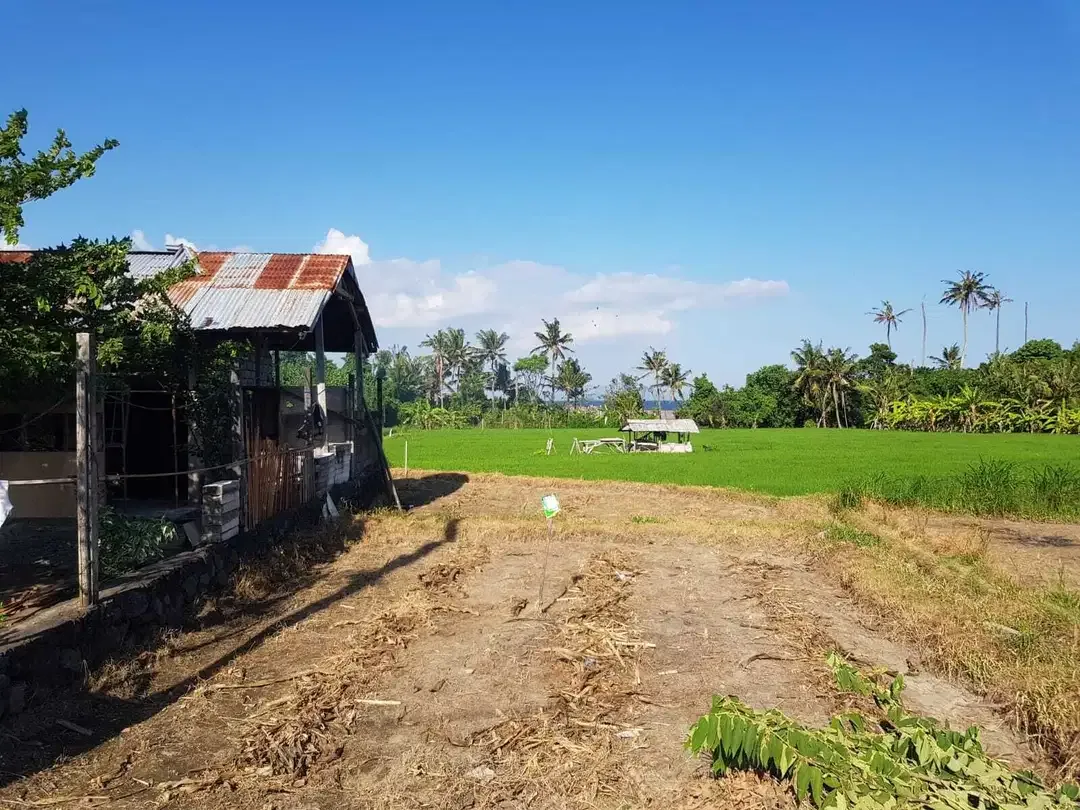 Dijual Tanah 3 are View Pantai Lingkungan Villa di Ketewel Gianyar - Image 7 of 7