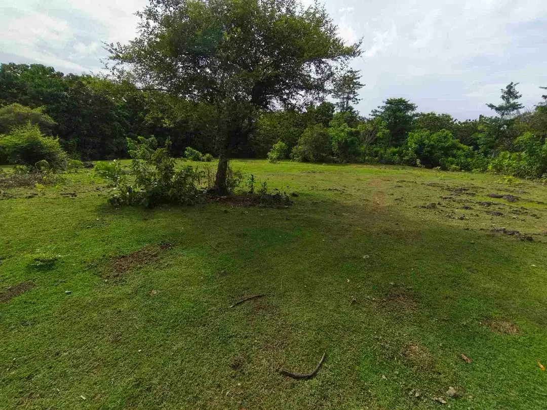 dijual tanah 1430m² IDR 750 juta per are kawasan pantai balangan jimbaran - Image 8 of 10