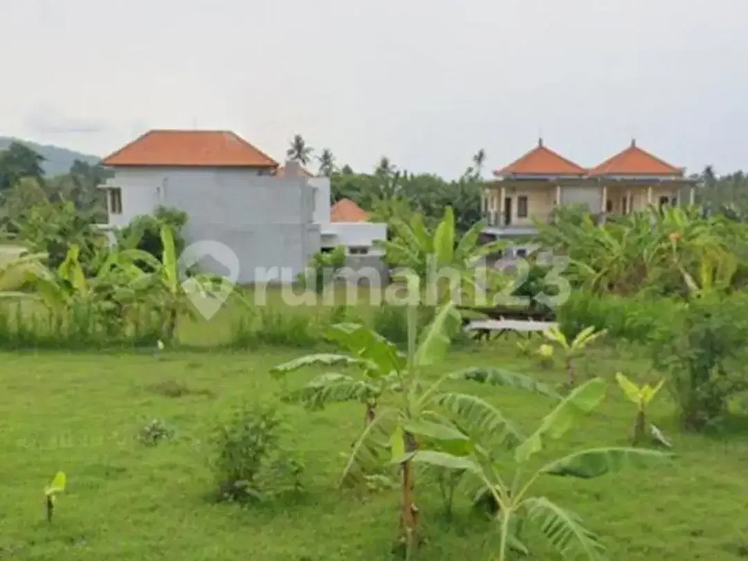 Jarang Ditemukan! Tanah Premium 1.700 M² di Singaraja-Lovina - Image 7 of 8