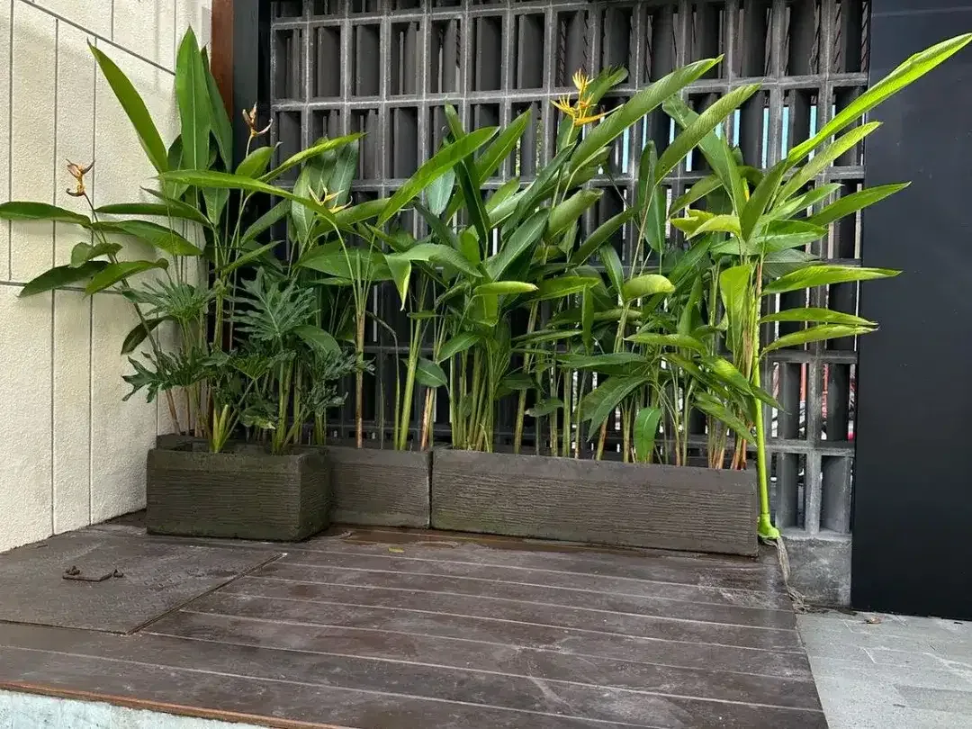 Fully Furnished Villa Di Green Kori Kerobokan Dekat Pantai Batu Belig - Image 4 of 10