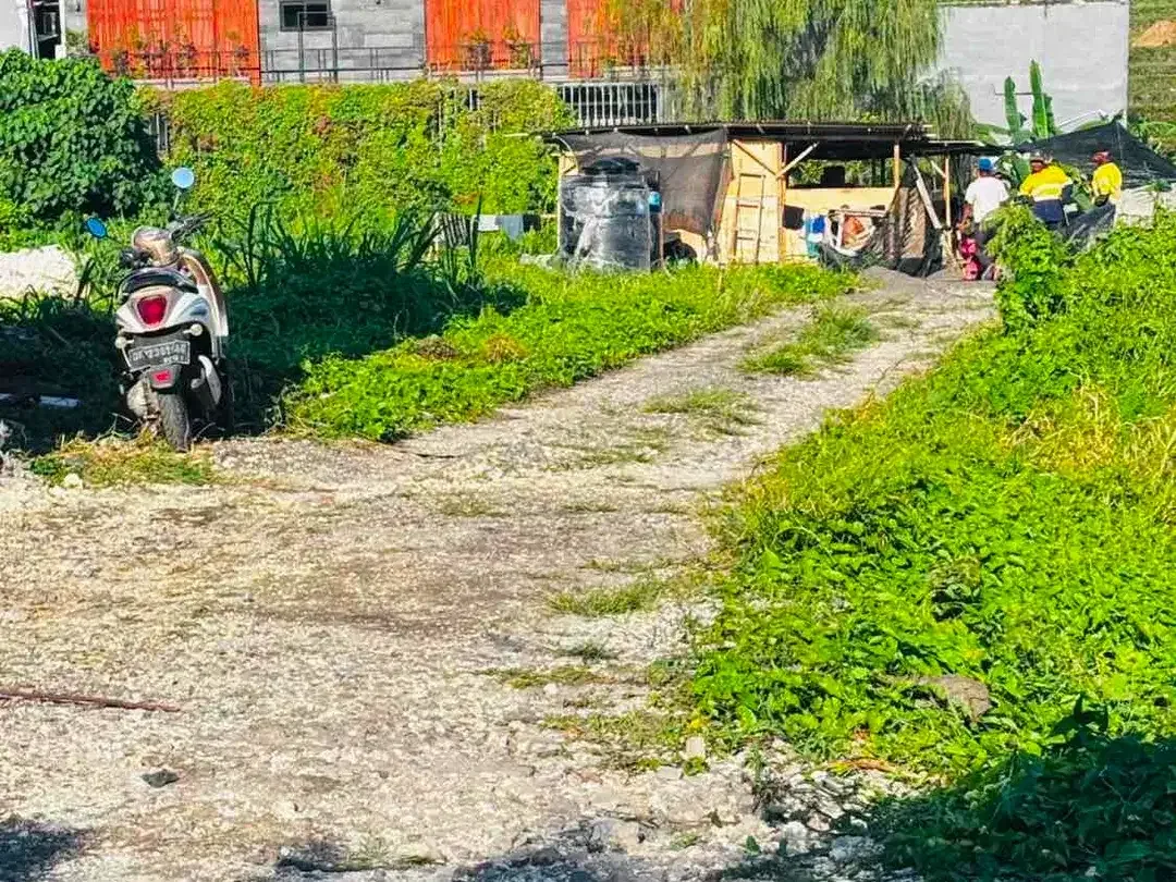 di sewakan lahan premium siap bangun kawasan villa elite lokasi Berawa Canggu - Image 2 of 4