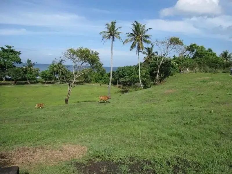 6000 m2 land for sale in pantai klecung Tabanan BALI - Image 4 of 8