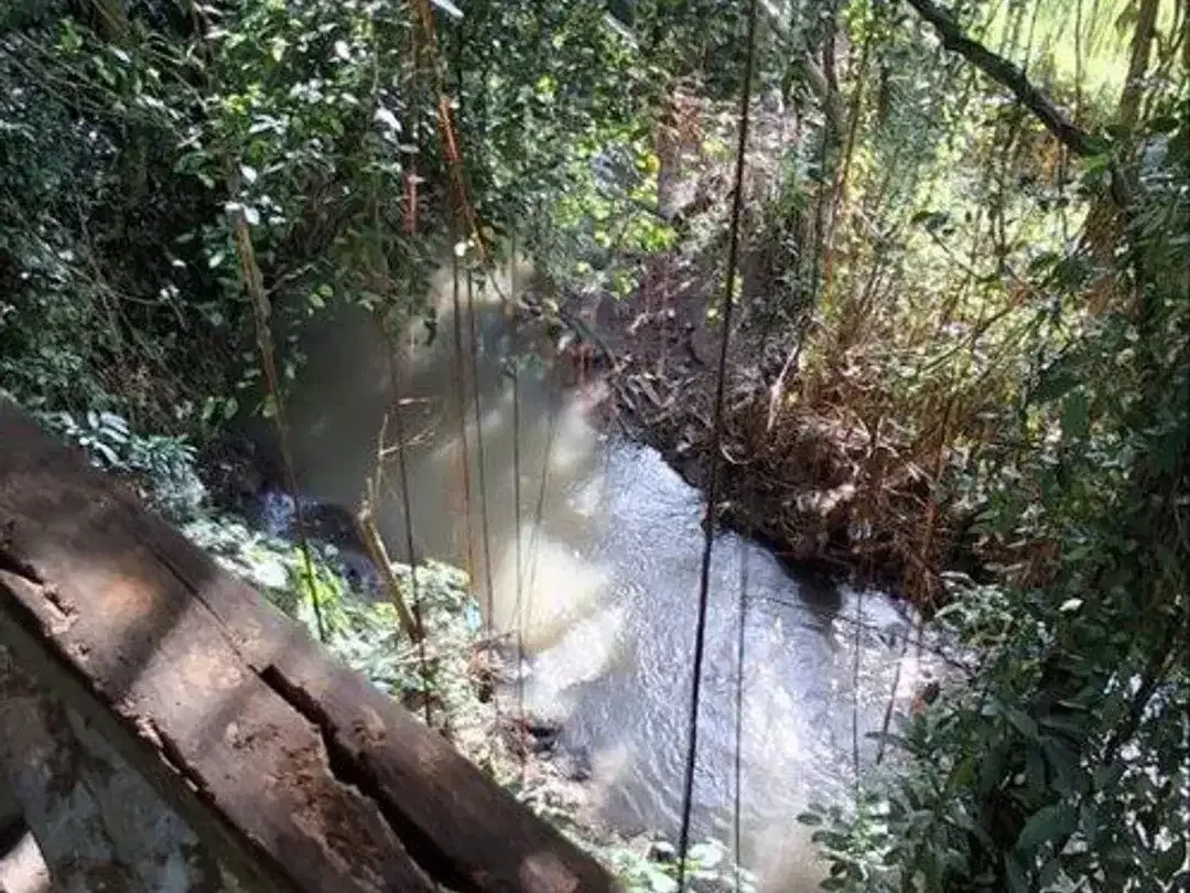 Tanah Komersil 84,43 Are Dijual, di Area Singapadu Tengah Ubud - Image 3 of 5