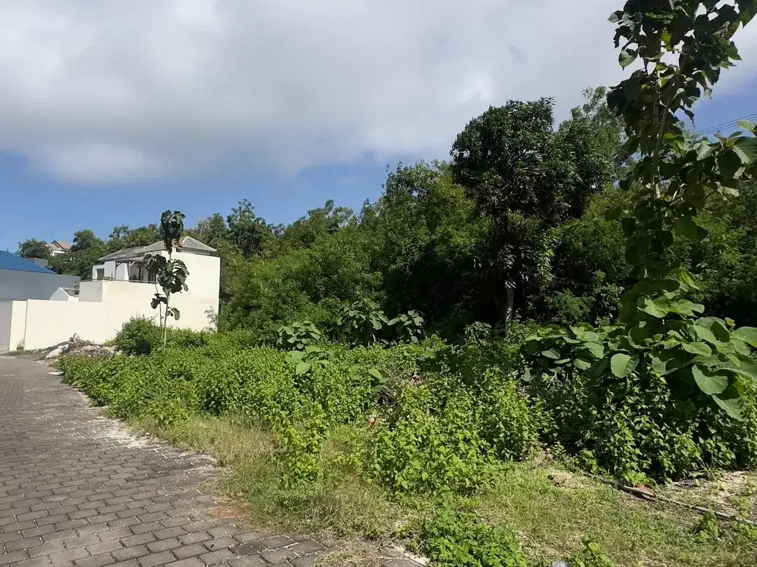 Dijual Tanah Premium 100m2 lokasi untuk villa di ungasan - Image 4 of 6