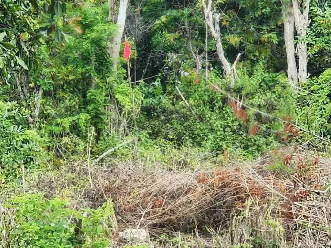 DIJUAL TANAH LUAS 2,34 HEKTAR DI KAWASAN AYANA JIMBARAN KUTA SELATAN BALI - Image 9 of 10
