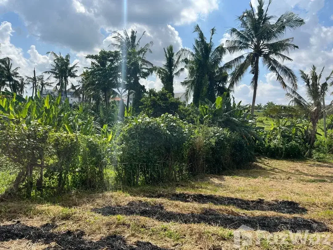Land for sale in Mengwi, Bali - Image 3 of 10