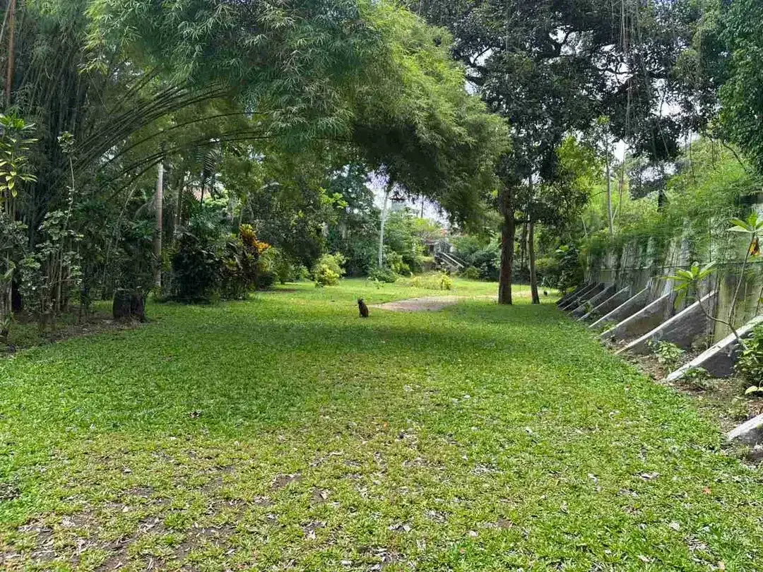 DIJUAL TANAH STRATEGIS DI KEROBOKAN BALI
Kesempatan menarik untuk mendapatkan lahan luas di kawasan strategis Kerobokan dengan 10 Are Leasehold GRATIS. - Image 7 of 10